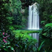 صدقات جارية