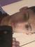 Adam Patel