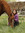 Hannah | 2 comments