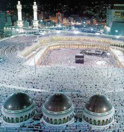 سعد أبومحمد