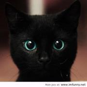 الأنسة مريم