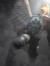 Ahmed M...