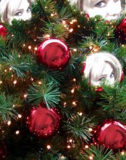 Julia Warkentin-bruneau