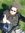 Oisin M...