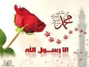 عمرو الحكمي