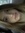 Katie M...