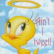 Tweetyhon Leonardo