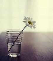 نور الهدايه