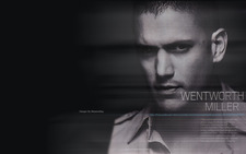 Ahmed Wafi