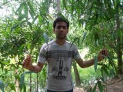 Abdul Bappy