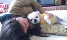 Pauline Sze