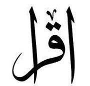 Amr Mohamed