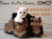 Fateen Chaster