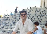 Moein Mashal