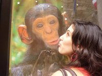 María De haro gonzález