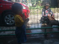 Imam D. kamus