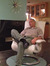 David Tracey