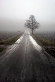 علاءالدين صحراوي