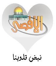 أسامة جلال محمد