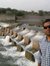 Nirav G...