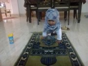 Mohammed Abd elkareem