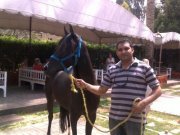 Karam Sharaf