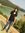Manisha