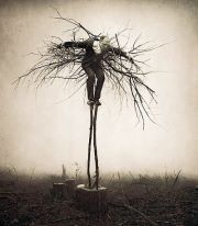 Patrick O'brien cuadros