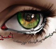 محمد ترزي اوغلو