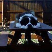 Ericka Superchi beaudet