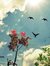 Ghada H...