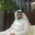Mohammed Suwaileh