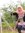 lestari...