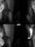 Hailey ...