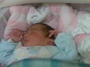 Ayman Shaban