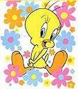 Bev Timms
