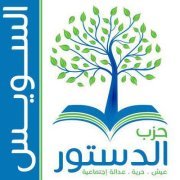 Mostafa Elgammal