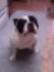 Rocco B...