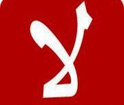 وليد مصيلحي