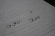 Ahmad Luthfi