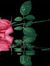 Hind Ahmed