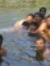 Mithun Pv
