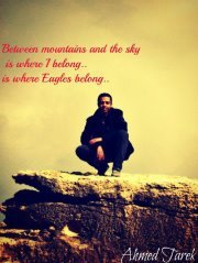 Ahmed Tarek