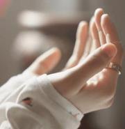 Soheer Mohamed wasfy