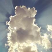 Joel Gilbertson-white