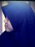 Adnin N...