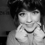 جودي المطيري