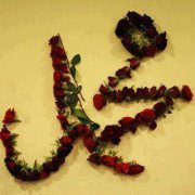 عبدالله ابو بكر