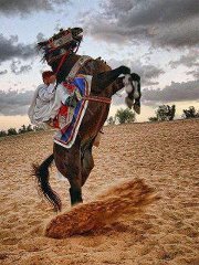 تقازي نايلي