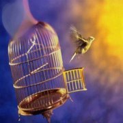 ياقوتة مرجان